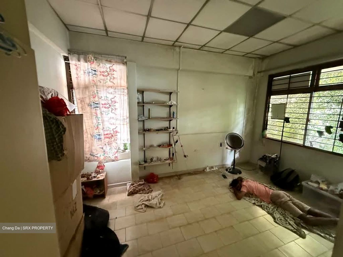Tampines Road (D19), Detached #578601431